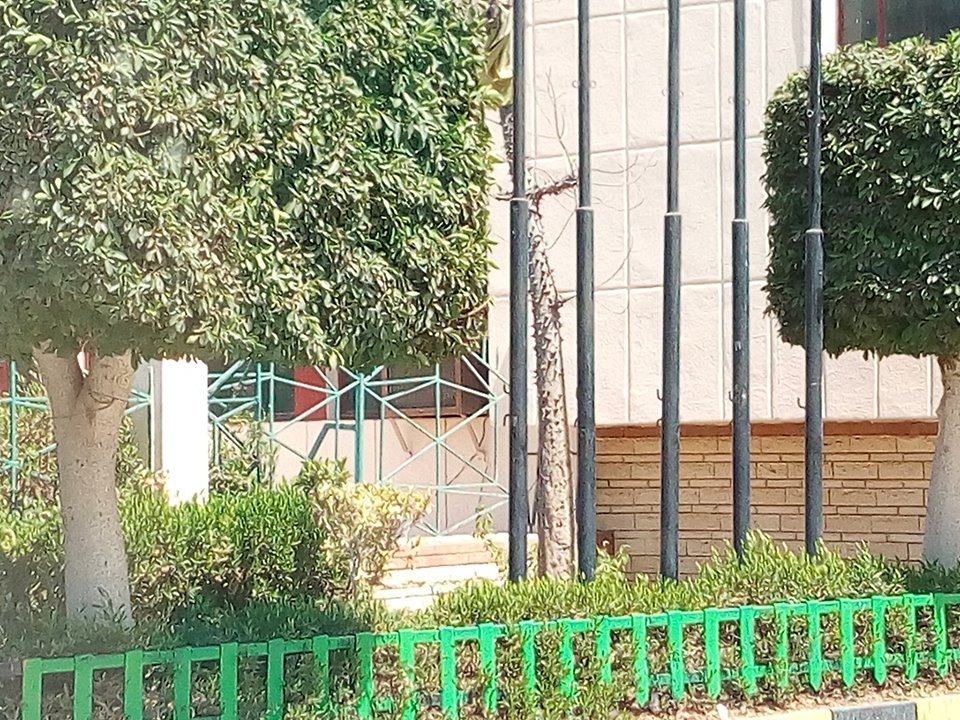 5- بناء على الطراز الفرنسى 5- بناء على الطراز الفرنسى