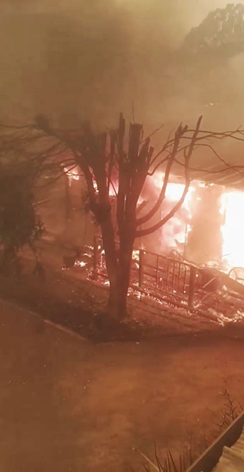 النار تلتهم النباتات