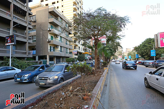 تقطيع اشجار شارع محى الدين ابو العز