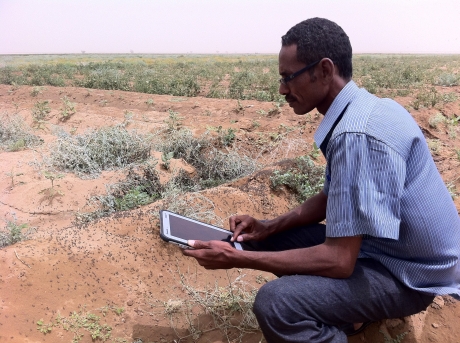 نظام تستخدمه الفاو لرصد التهديدات المحتملة للإنتاج الغذائي في إريتريا والتنبؤ بها