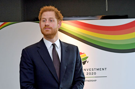 يحضر-الأمير-هاري-قمة-الاستثمار-البريطانية-الإفريقية