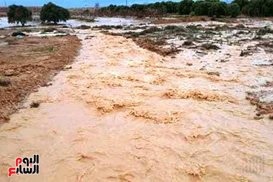 أمطار-الخير-تروي-الزراعات-بالوديان-وتملأ-خزانات-السدود-والآبار-بصحراء-مطروح-(2)