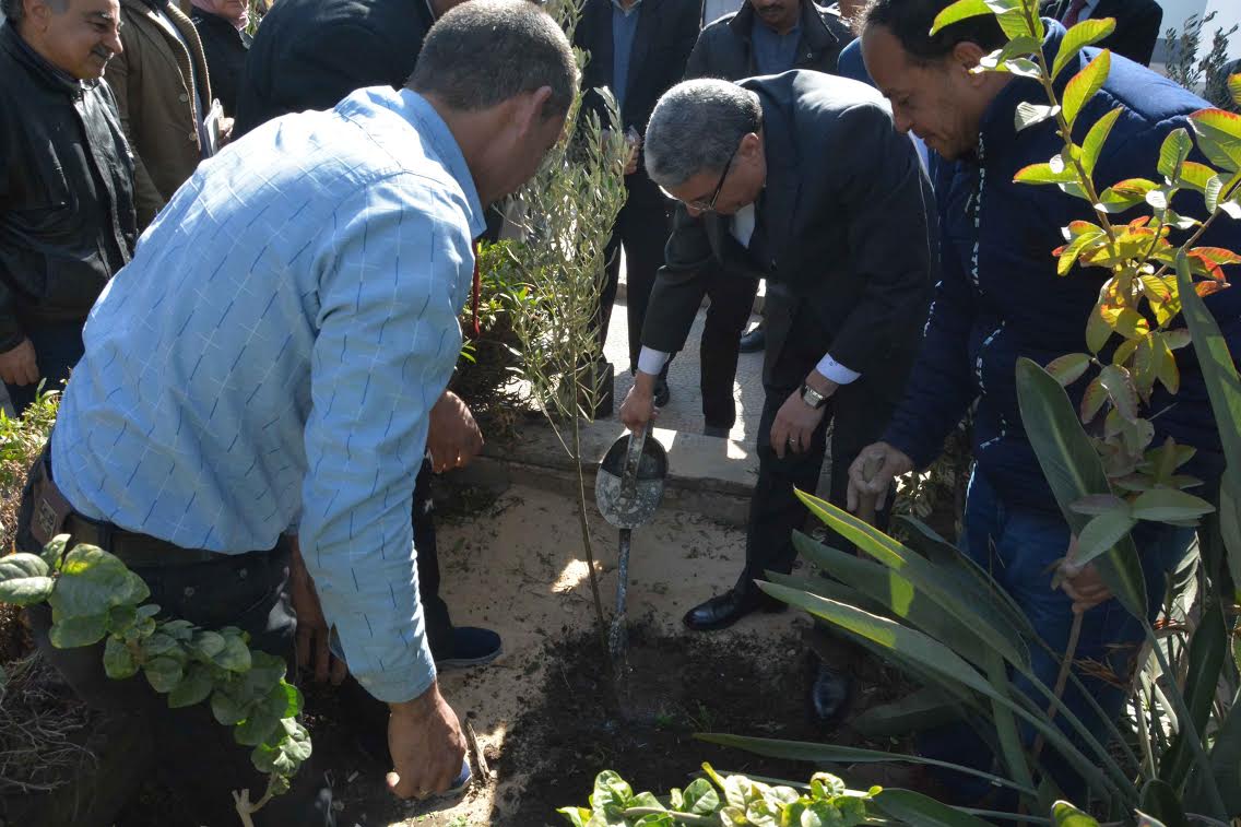 محافظ المنيا يغرس شجرة ضمن مبادرة هنجملها للحفاظ على البيئة (1)