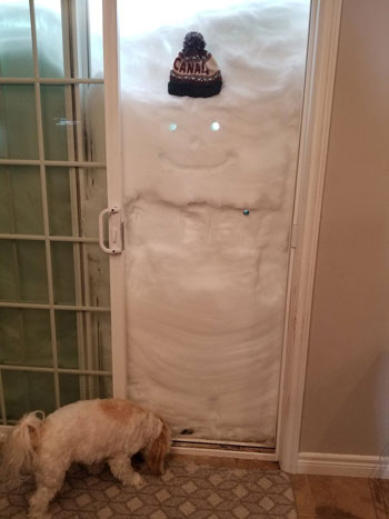 الثلوج تغطي مدخل منزل وكلب يقف خلفها