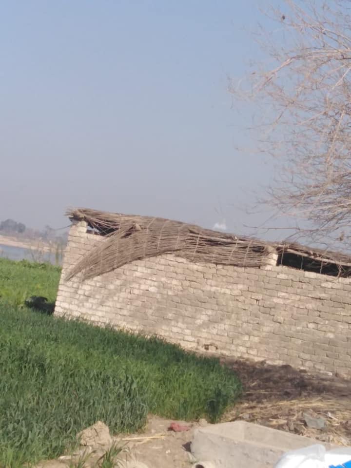 ازلة لمسطح 500 متر  على النيل ببنى سويف (3)