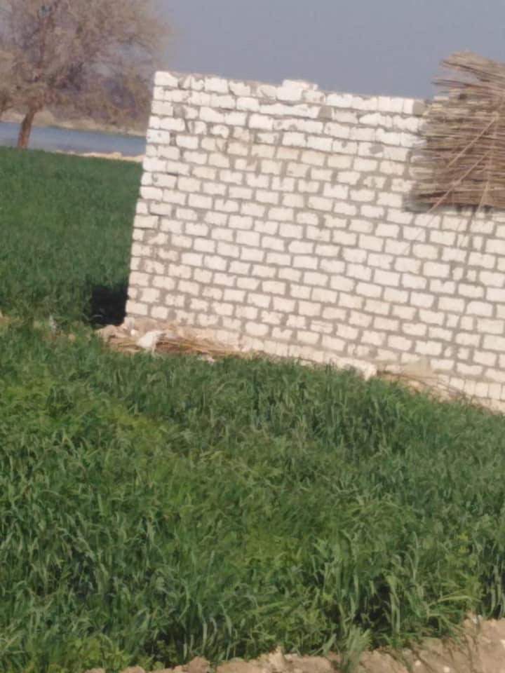 ازلة لمسطح 500 متر  على النيل ببنى سويف (1)