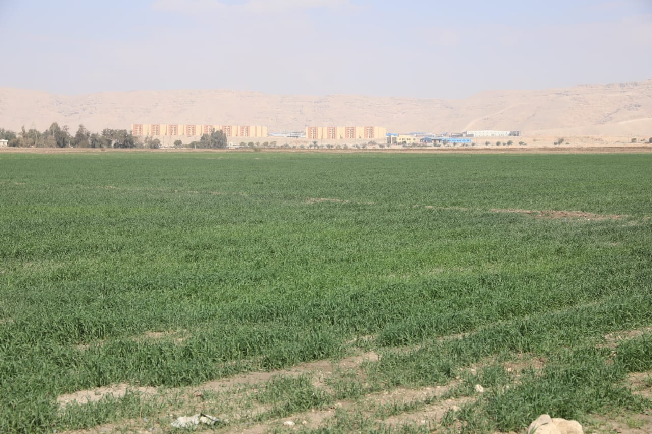 المشروعات الإنتاجية بسوهاج (4)