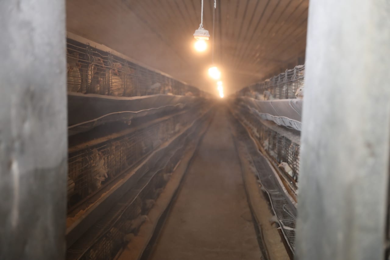 المشروعات الإنتاجية بسوهاج (7)