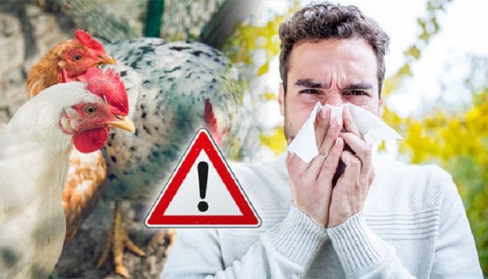 47-131027-avian-influenza-dangerous-protection_700x400