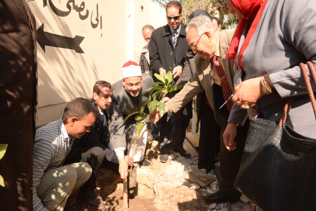 زراعة أشجار مثمرة بمساجد وكنائس أسيوط ضمن يوم البيئة الوطنى 2020 (9)