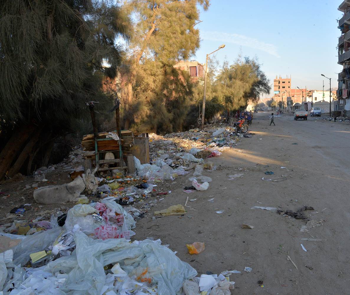 القمامة تملأ شوارع حى غرب والقوصية بأسيوط (5)
