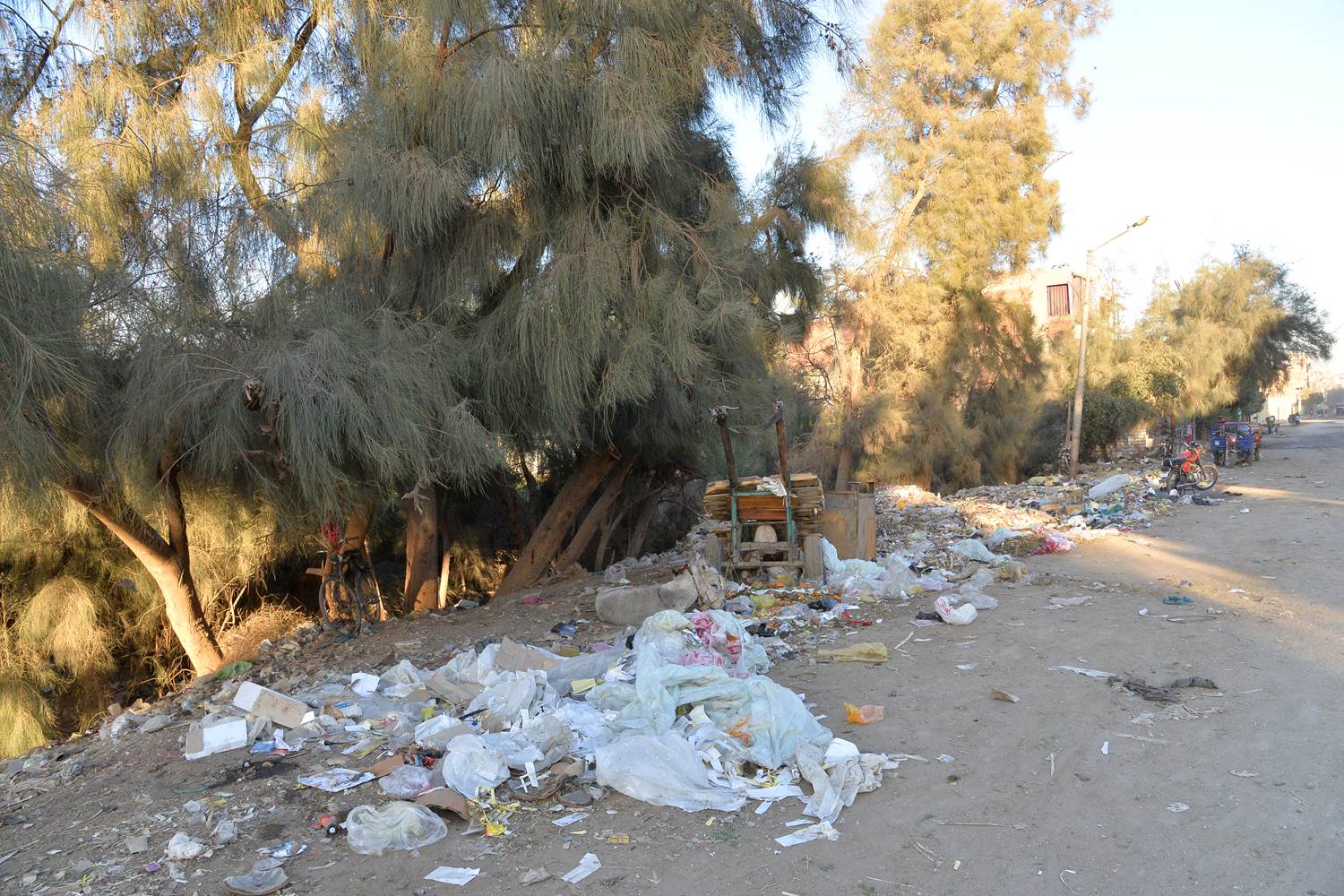 القمامة تملأ شوارع حى غرب والقوصية بأسيوط (6)