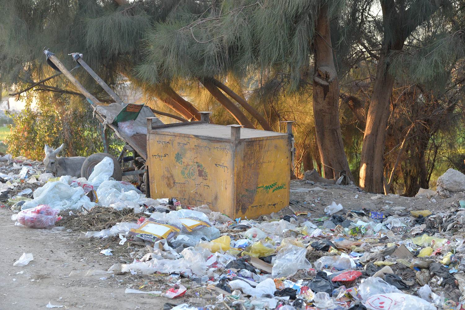 القمامة تملأ شوارع حى غرب والقوصية بأسيوط (2)