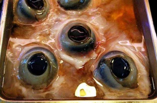 عيون سمك التونة