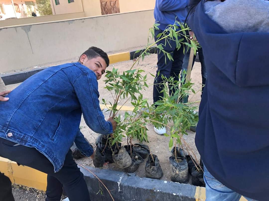 زراعة أشجار مثمرة ودهان شوارع بمدينة سفاجا  (6)