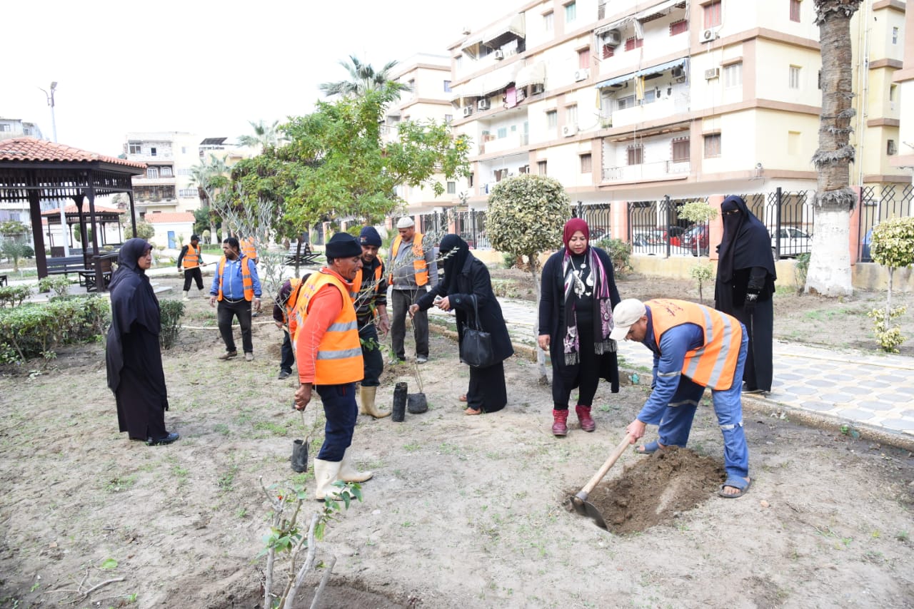 زراعة أشجار مثمرة ضمن مبادرة اتحضر للأخضر ببورسعيد (5)