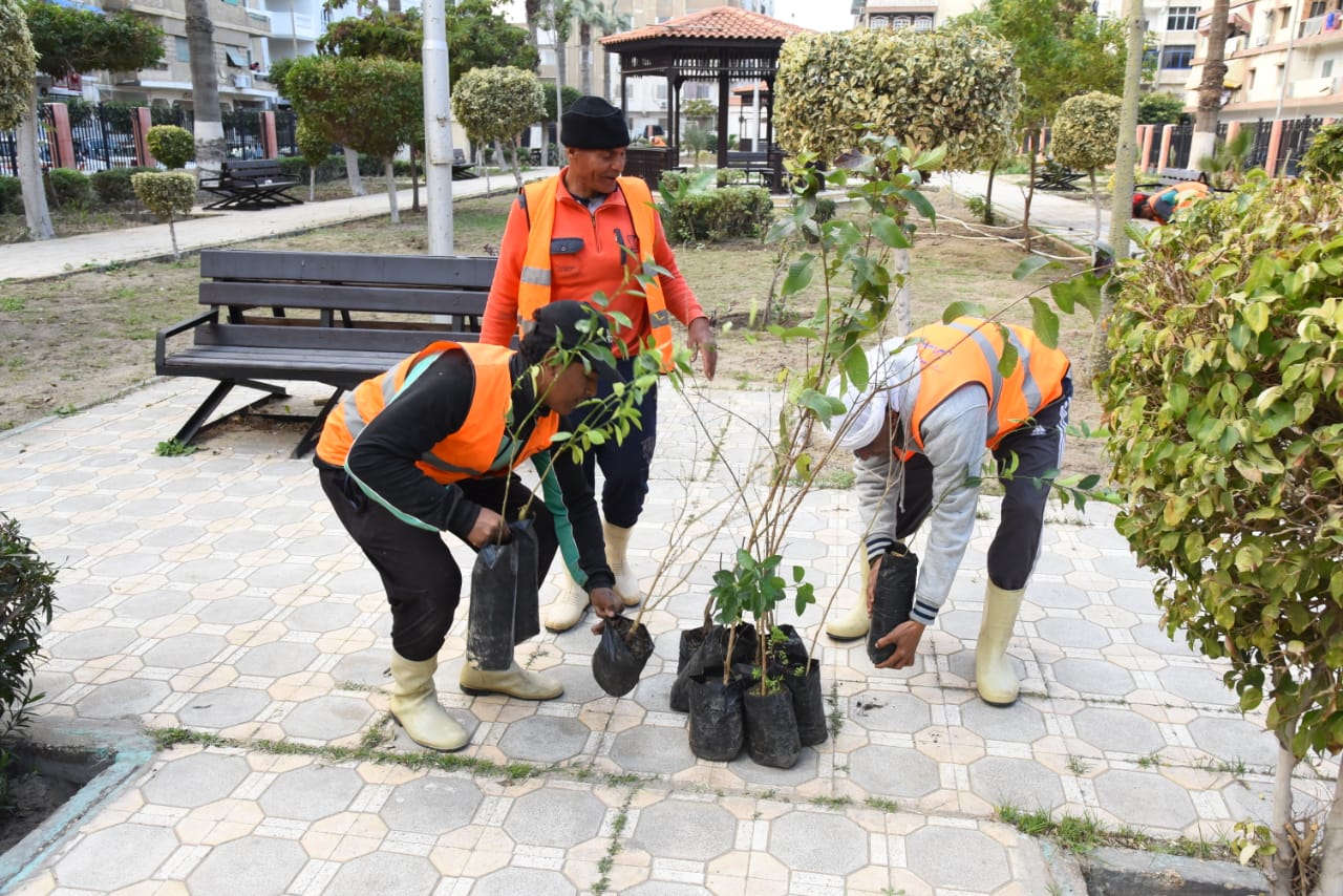 زراعة أشجار مثمرة ضمن مبادرة اتحضر للأخضر ببورسعيد (2)
