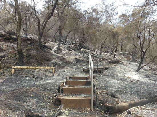 منظر لمنطقة سكنية محترقة  بعد حرائق الغابات فى كهوف استراليا