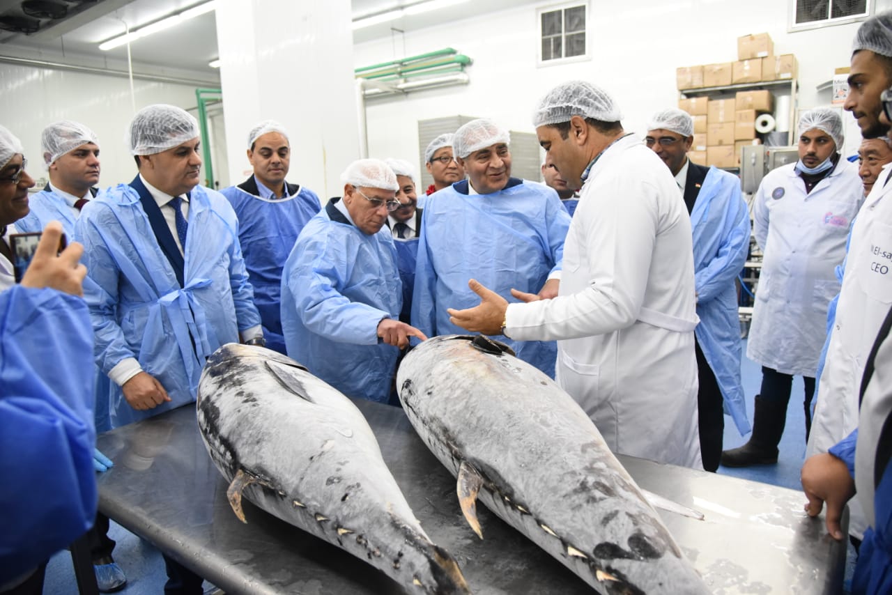 وزير التموين ومحافظ بورسعيد يتفقدان مصنع بورسعيد ستار لإنتاج الأسماك (2)