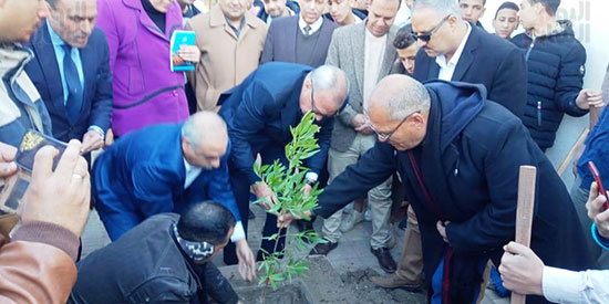 محافظات-مصر-تتجمل-بأيادي-المسئولين-بزراعة-الأشجار-المثمرة-لخدمة-المواطنين-(4)