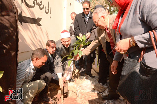 محافظات-مصر-تتجمل-بأيادي-المسئولين-بزراعة-الأشجار-المثمرة-لخدمة-المواطنين-(17)