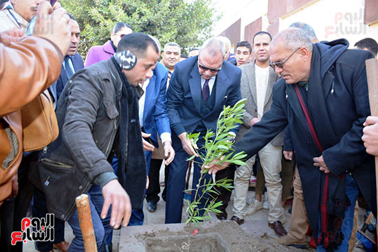 محافظات-مصر-تتجمل-بأيادي-المسئولين-بزراعة-الأشجار-المثمرة-لخدمة-المواطنين-(7)