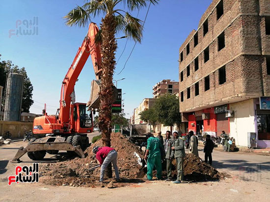 محافظات-مصر-تتجمل-بأيادي-المسئولين-بزراعة-الأشجار-المثمرة-لخدمة-المواطنين-(18)
