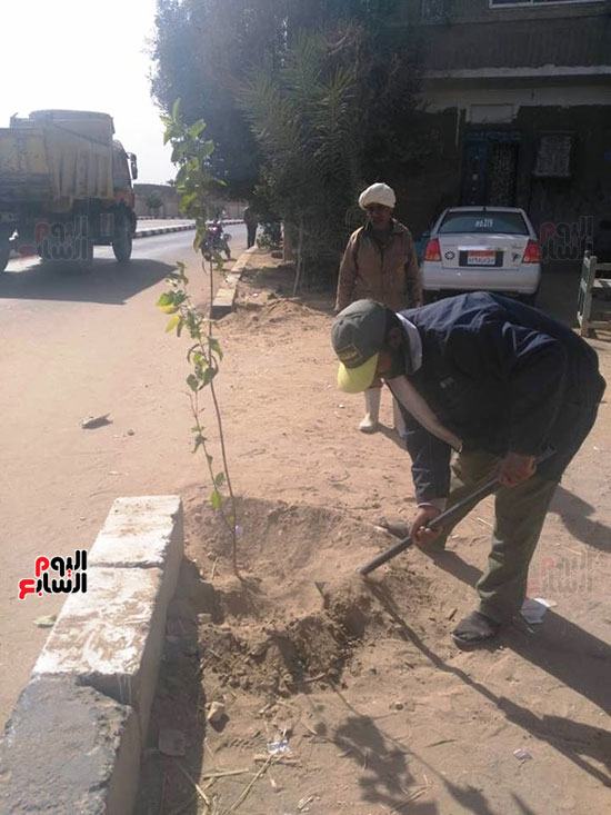 محافظات-مصر-تتجمل-بأيادي-المسئولين-بزراعة-الأشجار-المثمرة-لخدمة-المواطنين-(5)