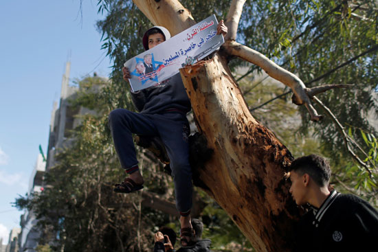 صبي فلسطيني يتسلق شجرة يحمل لافتة ضد خطة السلام