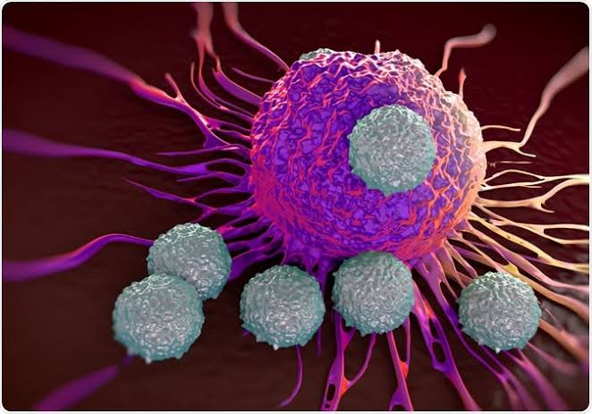 الخلايا المناعية للسرطان