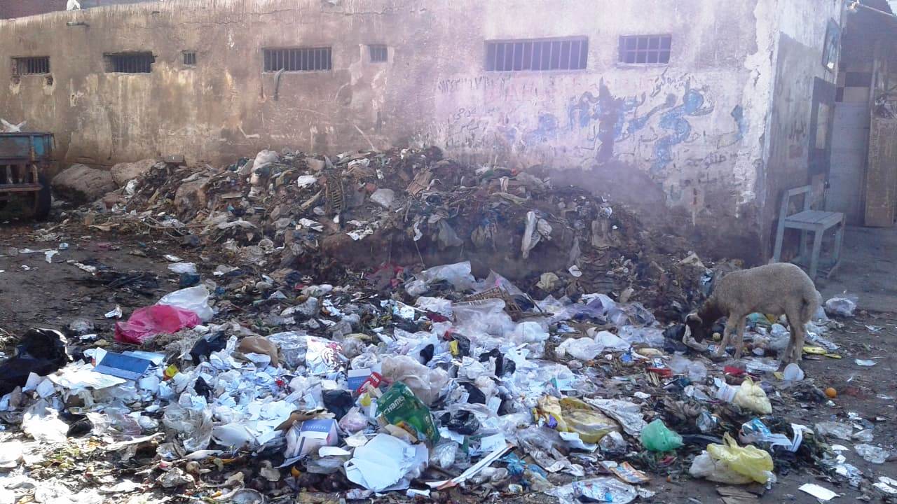 تراكم القمامة يحاصر مناطق بمركز شبين الكوم بالمنوفية  (13)