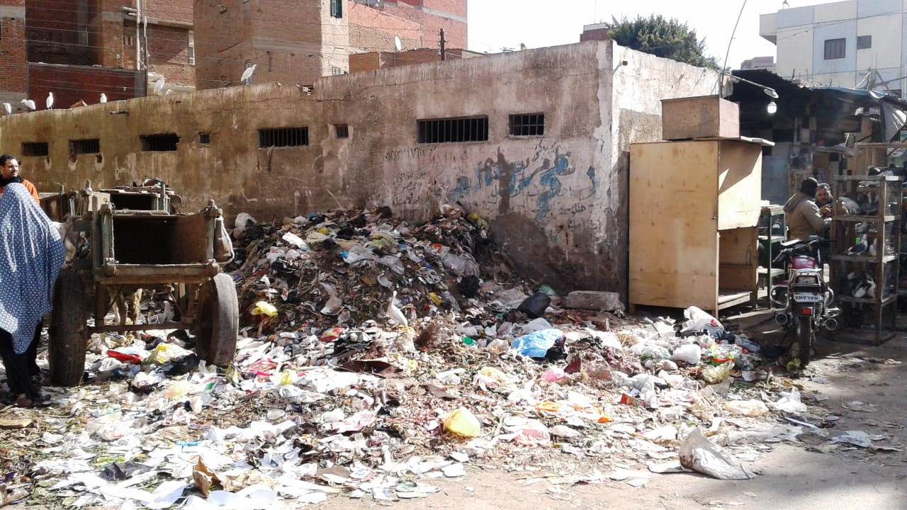 تراكم القمامة يحاصر مناطق بمركز شبين الكوم بالمنوفية  (7)