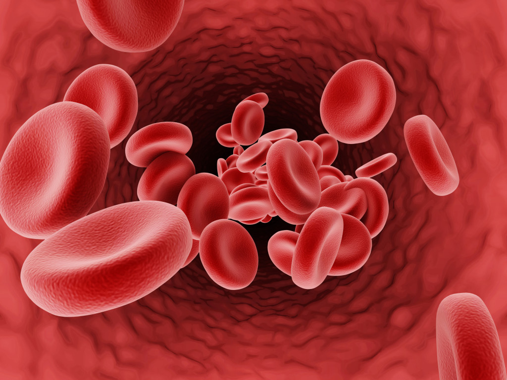 Mcv تحليل Red Cell