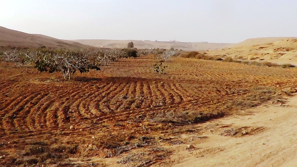 حصاد الأمطار بمطروح من خلال بناء السدود وحفر الآبار (13)