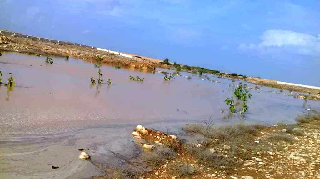حصاد الأمطار بمطروح من خلال بناء السدود وحفر الآبار (5)