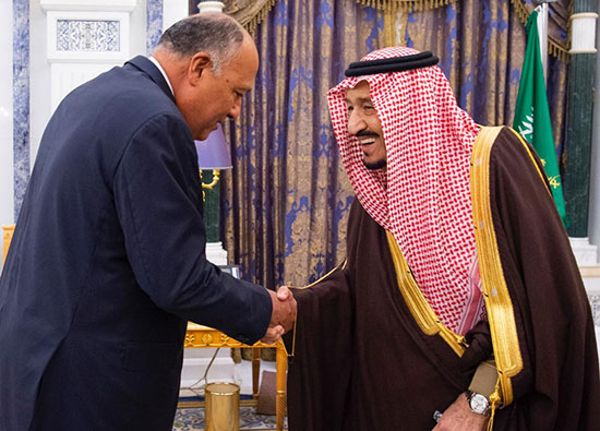 ملك السعودية ووزير الخارجية سامح شكرى