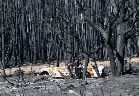 منظر عام لأضرار الحرائق في جزيرة الكنجر الأسترالية