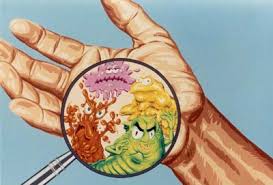 Germs in the body