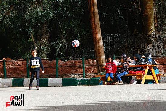 أحد الأطفال يلعب الكرة داخل الحديقة
