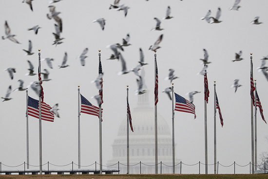 طيور النورس تطير عبر نصب واشنطن خلال عاصفة ثلجية