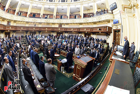 مجلس النواب  (12)