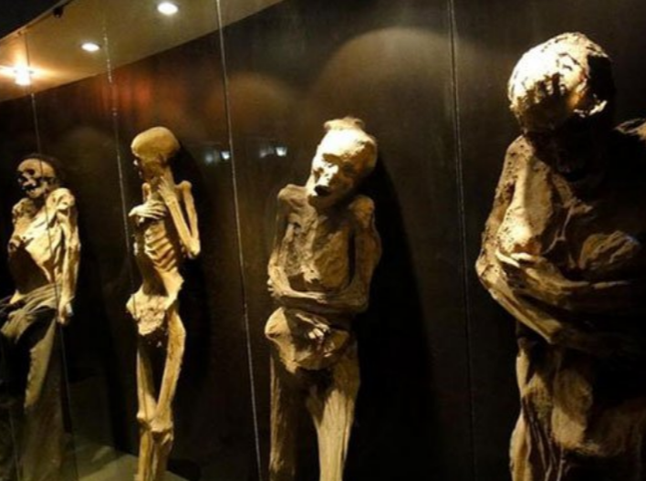 متحف المومياوات