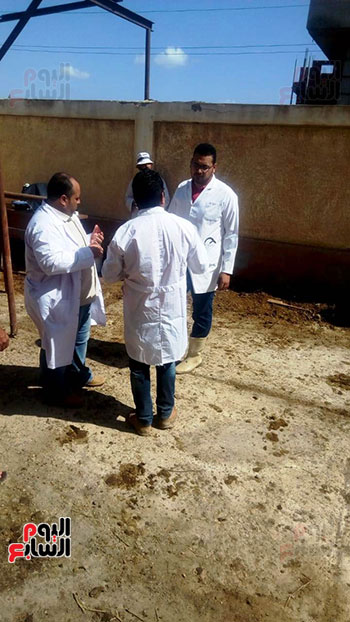 قافلة بيطريه (2)