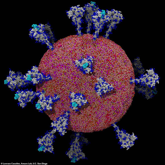 فيروس كورونا وفق آلية التصوير الجديدة