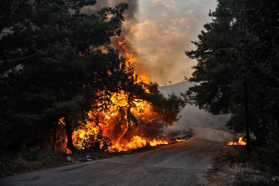 الحرائق تلتهم الاشجار فى سوريا