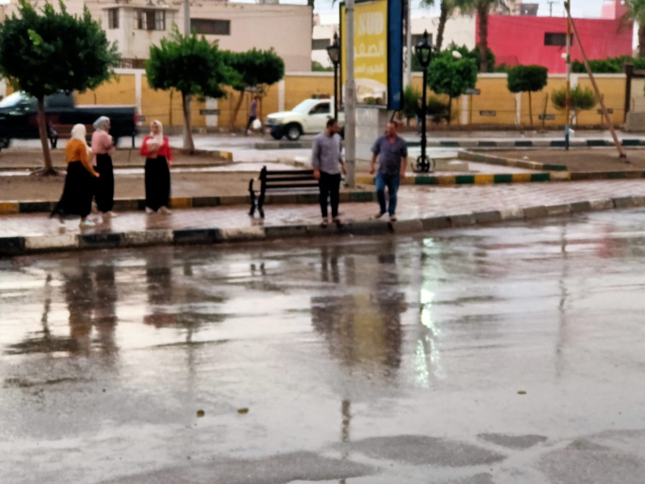 هطول أمطار غزيرة على محافظة الدقهلية صور اليوم السابع