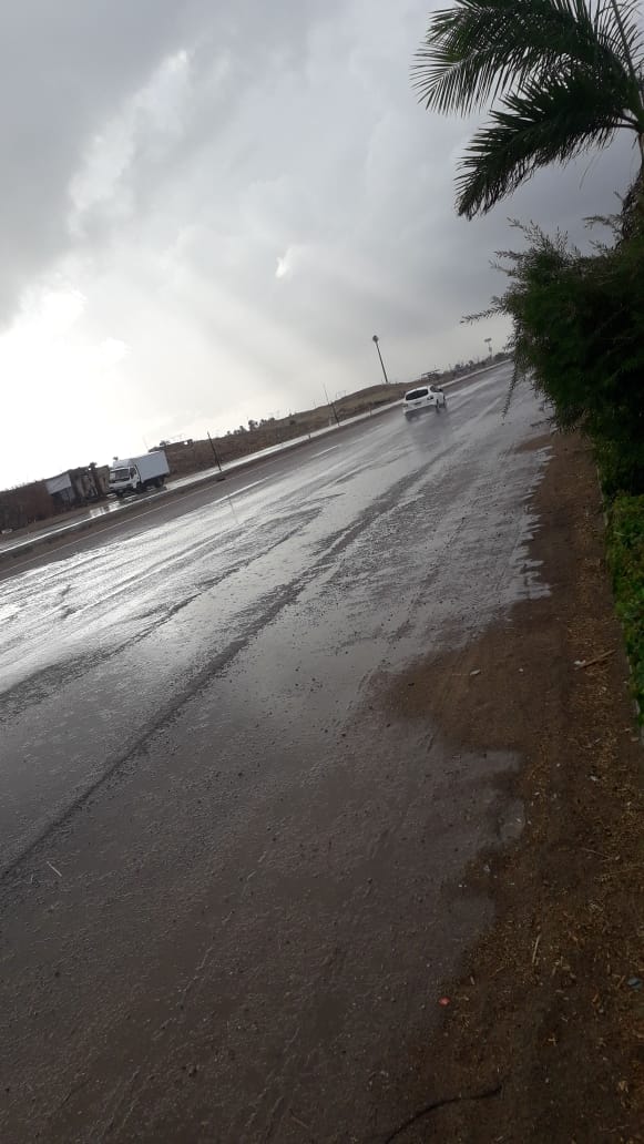هطول أمطار غزيرة على عدد من مدن كفر الشيخ (7)