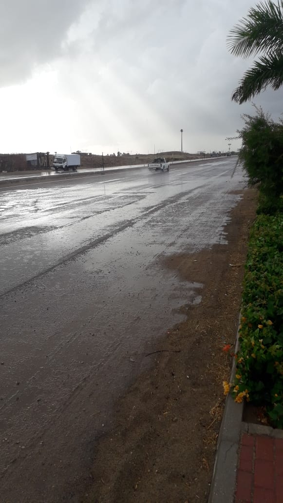 هطول أمطار غزيرة على عدد من مدن كفر الشيخ (4)