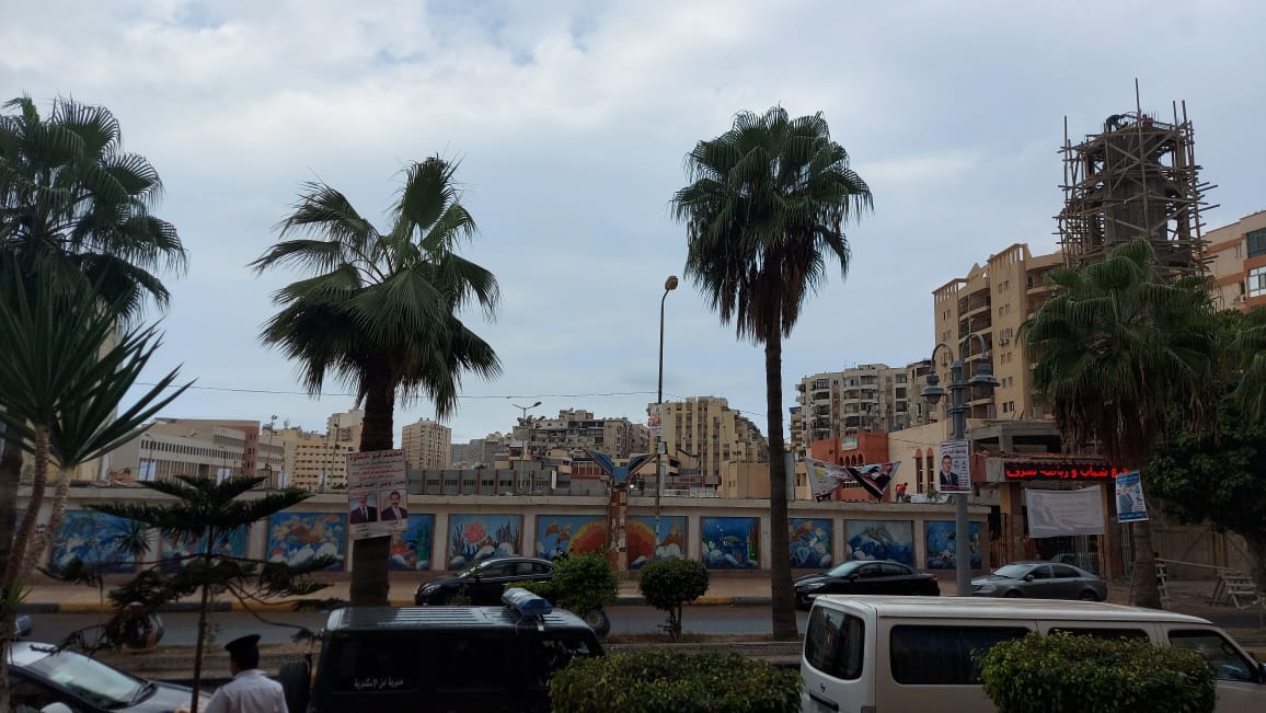 هطول أمطار خفيفة ومتوسطة شرق الاسكندرية  (4)