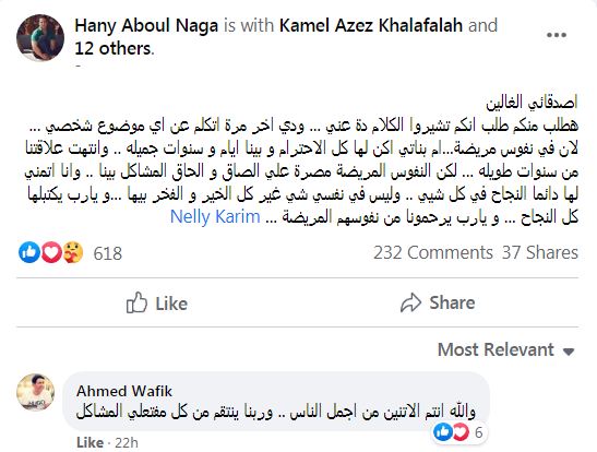هاني ابو النجا